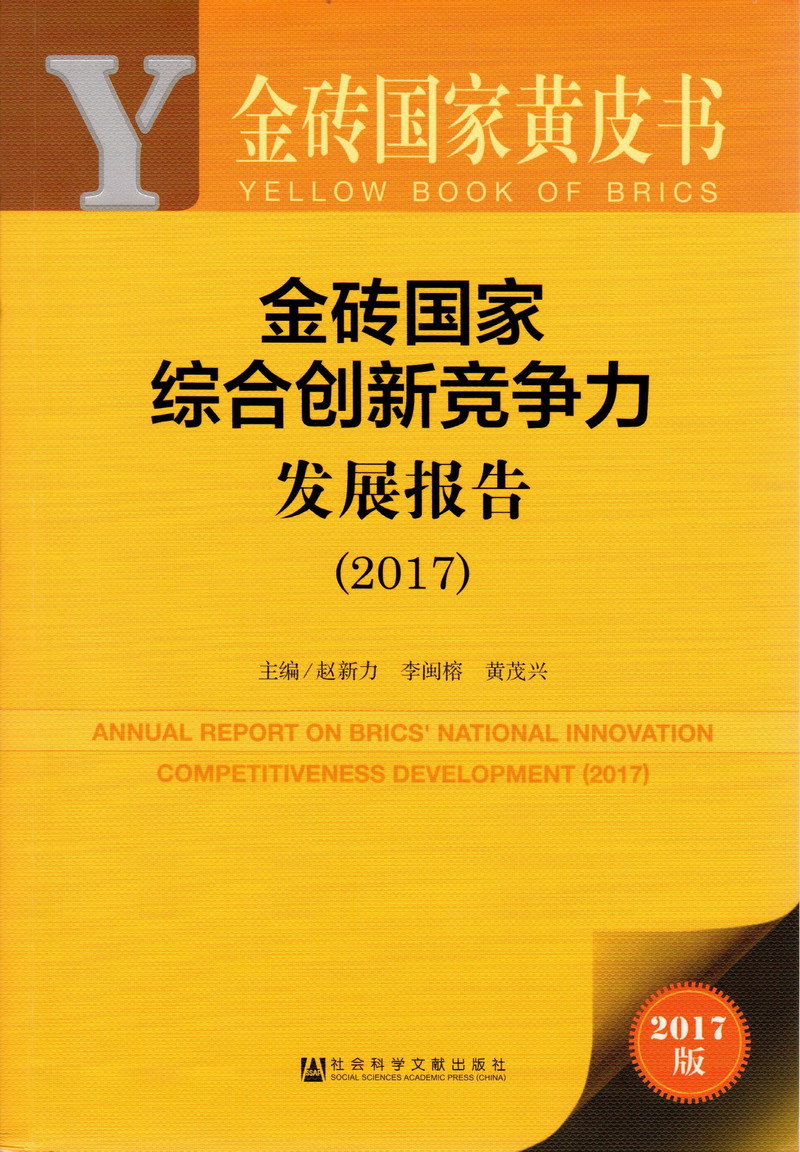 插操欧美大屁股肥妞bbw老女人金砖国家综合创新竞争力发展报告（2017）